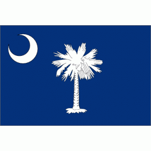 4'x6' South Carolina State Flag Nylon